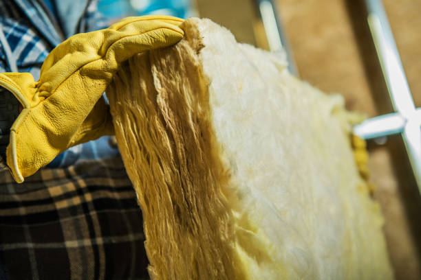 Best Spray Foam Insulation  in Mcadoo, PA