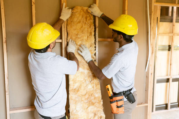 Attic Insulation Near Me in Mcadoo, PA