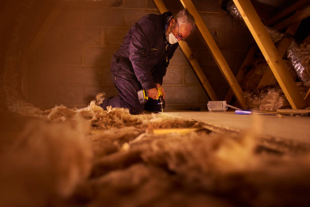Best Blown-in Insulation  in Mcadoo, PA